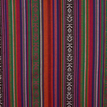 Estampado Étnico Haida 1
