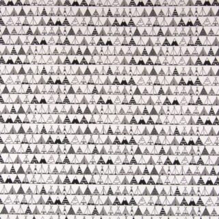 Tendas Tipi 1