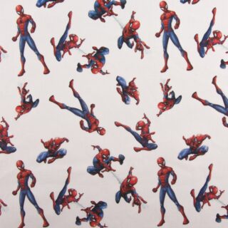 Digital Homem Aranha 1