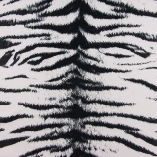 Lycra Florida 29