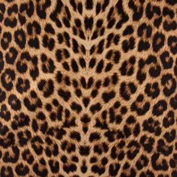 Lycra Florida 49