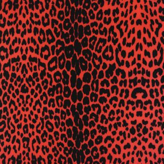 Lycra Florida 40