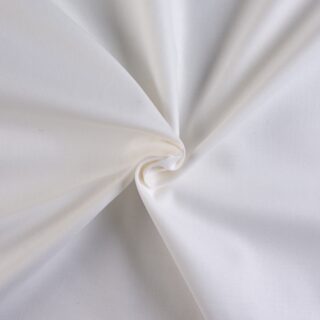 Canvas Liso 2