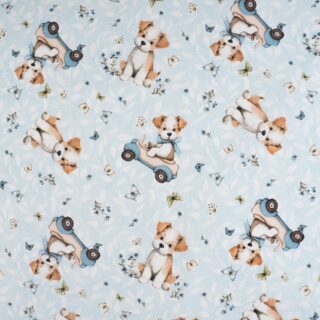 Cãezinhos e Carrinhos 1