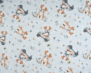 Cãezinhos e Carrinhos 1